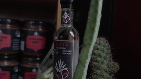 Mezcal-Tequila-Flasche-Inmitten-Einer-Gruppe-Von-Kakteen-In-Einem-Rustikalen-Terrakotta-Topf