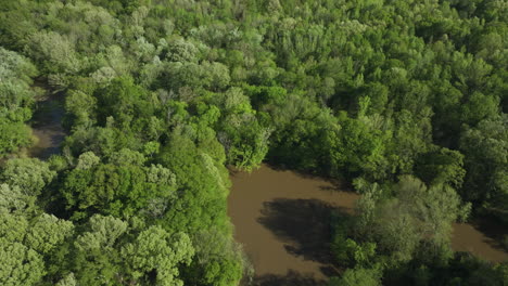 Wolf-River-Creek-With-Vast-Dense-Thicket-Near-Collierville-Tennessee,-United-States