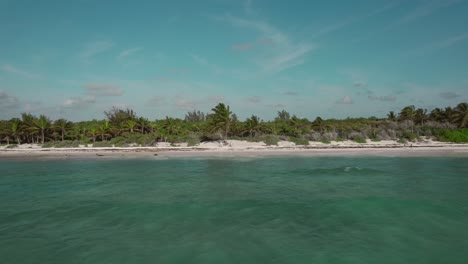 Desde-Las-Playas-De-Arena-De-La-Riviera-Maya-Hasta-El-Mar-Sin-Límites,-Un-Dron-Captura-La-Belleza-De-Los-árboles-De-La-Isla-Y-La-Amplia-Vista-Del-Océano-En-Una-Vista-Impresionante.