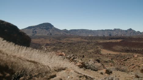 Barren-desert-landscape-with-desert-flowers-in-foreground,-Crater-bellow-Pico-del-Teide-on-Tenerife,-Canary-Islands