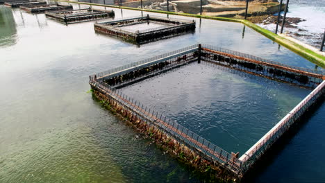 Aquafarm-Sumpf-In-Küstennähe-Mit-Rudimentären-Quadratischen-Barrierefiltern