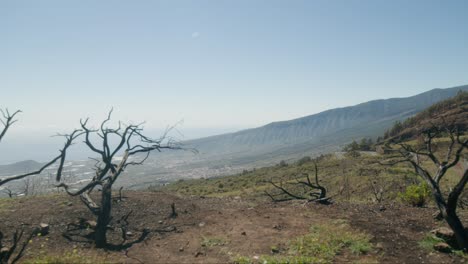 Trockene-Landschaft-Im-Süden-Teneriffas-Mit-Verbrannten-Büschen,-Kanarische-Inseln-Im-Frühling