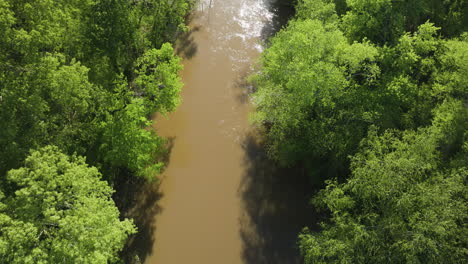 Pantanos-De-Agua-Dulce-Que-Proporcionan-Un-Hábitat-Para-Organismos-Acuáticos-Raros-Y-En-Peligro-De-Extinción