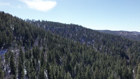Aerial-push-in-on-a-pine-tree-covered-mountainside-in-New-Mexico