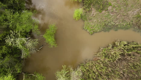 Toma-Tranquila-Del-Pantano-Del-Río-Wolf-En-El-área-Natural-De-Conservación-De-Clark.