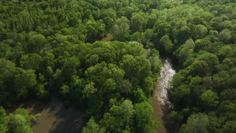 Wolf-River-Stream-Flowing-Through-Dense-Forest-Near-Collierville-In-Tennessee,-USA