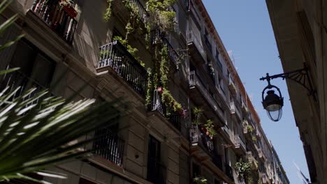 Sunny-Barcelona-street-view-with-traditional-balconies-adorned-with-vibrant-flowers