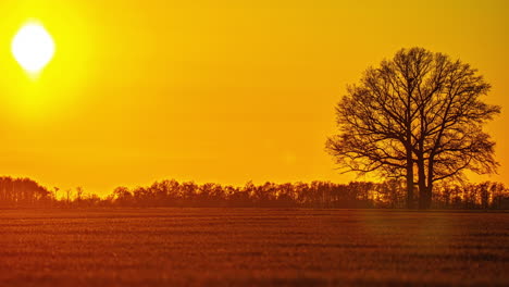 Herbstliche-Zeitrafferlandschaft-Mit-Sonnenuntergangsstimmung-Auf-Bauernfeldern-Ohne-Menschen,-Goldener-Himmelshintergrund