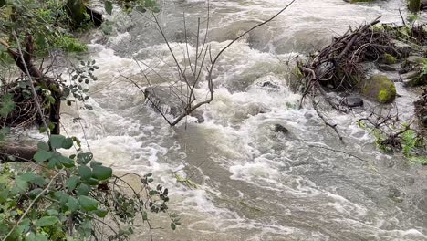 We-see-a-stream-with-a-close-up-of-a-slope-with-the-water-of-a-whitish-color-due-to-the-rains-and-the-drag,-there-is-vegetation-on-the-sides,-the-filming-is-in-slow-motion-in-Avila,-Spain