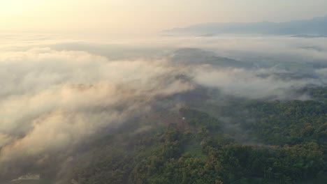 Alta-Vista-Aérea-Sobre-El-Campo-Indonesio-En-Un-Día-Brumoso