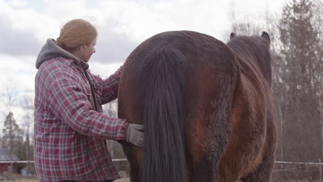 Woman-strokes-buttock-of-chestnut-horse-tenderly,-equine-facilitated-wellness