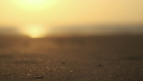 Sand-particles-being-blown-along-in-slow-motion