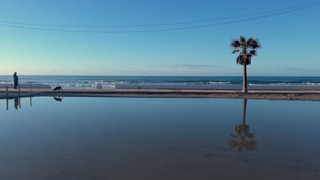 Static-view-of-man-walking-along-the-promenade-with-his-dog