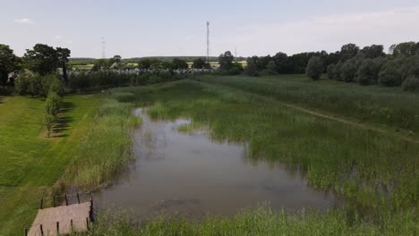 Aerial-descent-towards-stagnant,-overgrown-pond-near-cemetery-in-Batya,-Hungary