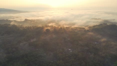 Nebel-Hängt-über-Den-Bäumen-In-Einer-Nebligen-Indonesischen-Landschaft