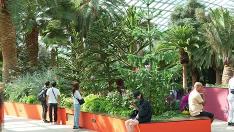 Panning-view-capturing-tourists-visiting-the-landmark-attraction,-wandering-around-the-glass-greenhouse-Flower-Dome-conservatory-at-Gardens-by-the-bay