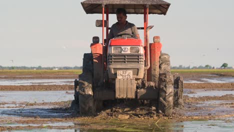 Sri-Lankan-farmer-preps-rice-land-at-sunset-with-red-tractor-while-birds-soar-for-insects