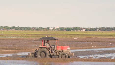 Sri-Lankan-farmer-preps-rice-land-at-sunset-with-red-tractor-while-birds-soar-for-insects