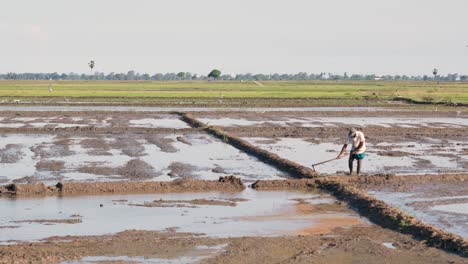 Captivating-scene-of-a-Sri-Lankan-farmer-meticulously-shaping-rice-fields-with-sand-tools-at-sunset,-accompanied-by-a-plethora-of-birds-feasting-on-insects-amidst-the-evening-summer-ambiance