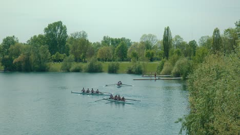 Rowers-in-sync-on-the-tranquil-waters-of-Jarun-Lake,-Zagreb,-surrounded-by-lush-greenery