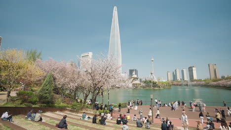 Seoul-People-Relaxing-at-Songpa-Naru-Park-by-Seokchon-Lake-Springtime-Enjoying-Cherry-Blossom,-View-of-Lotte-World-Tower---wide-angle