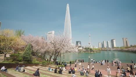 Gente-De-Seúl-Relajándose-En-El-Parque-Songpa-Naru-Junto-Al-Lago-Seokchon,-Primavera-Disfrutando-De-Los-Cerezos-En-Flor,-Vista-De-La-Torre-Lotte-World---Gran-Angular