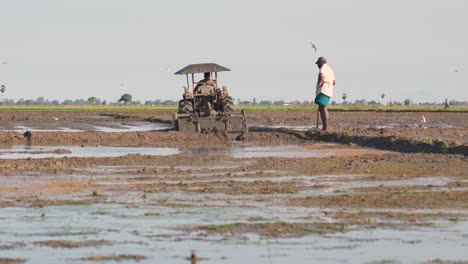 Un-Granjero-De-Sri-Lanka-Prepara-Tierras-De-Arroz-Al-Atardecer-Con-Un-Tractor-Rojo-Mientras-Los-Pájaros-Vuelan-En-Busca-De-Insectos.