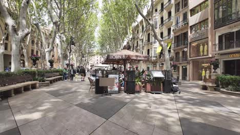 Plaza-Passeig-Del-Born-Con-árboles-Altos-Y-Edificios-Históricos,-Cafés,-Terrazas,-Gente-Caminando,-Sentada,-Relajándose