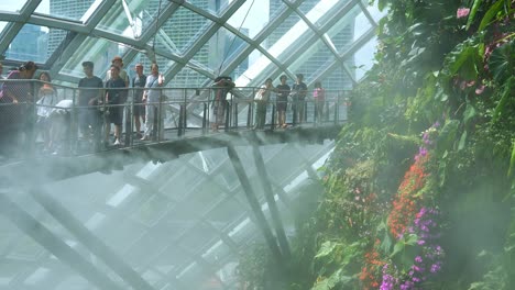 Tourists-stroll-along-the-aerial-walkway-inside-Cloud-Forest-greenhouse-conservatory-at-Gardens-by-the-Bay-in-Singapore,-misty-water-spray-used-for-temperature-control,-creating-a-magical-atmosphere