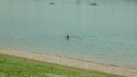 Ein-Gelassener-Schwimmer-Genießt-Das-Ruhige-Wasser-Des-Jarun-Sees-In-Zagreb-Inmitten-Von-Ruderern-Und-Einer-Lebhaften-Frühlingskulisse