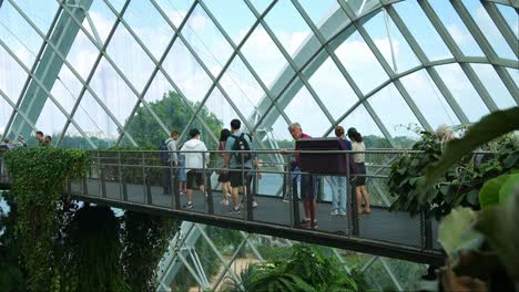 Tourists-walking-on-the-aerial-walkway-of-the-cloud-forest-greenhouse-conservatory-at-Gardens-by-the-bay-in-Singapore