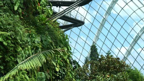 People-walking-on-cloud-forest-aerial-walkway,-the-greenhouse-conservator-with-glass-window-looking-out-at-beautiful-blue-sky,-Gardens-by-the-bay,-the-popular-attraction-of-Singapore,-tilt-up-shot