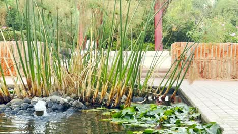 Nahaufnahme-Von-Lotusgrünen-Blättern-Im-Wasserteich,-Die-Den-Thailändischen-Schrein-Plaza-Tailandia-In-Santiago-De-Chile-Offenbaren,-Eine-Städtische-Grüne-Oase-In-Der-Chilenischen-Hauptstadt