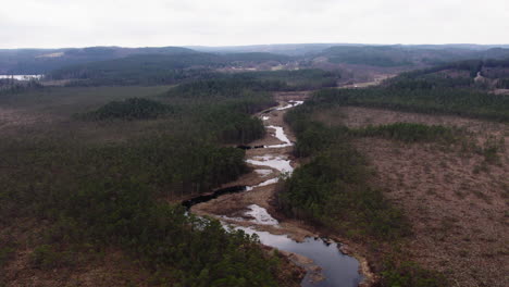 Vista-Aérea-Del-Río-Savean-Serpenteando-A-Través-De-Humedales-Y-Bosques-En-Suecia