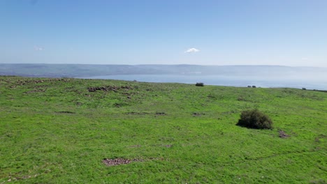 Drone-shot-of-the-Sea-of-Galilee-revealed-behind-green-hills