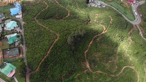 Aerial-Drone-View-of-Hiking-Trails-on-Lush-Green-Mountains-in-Nuwara-Eliya,-Sri-Lanka