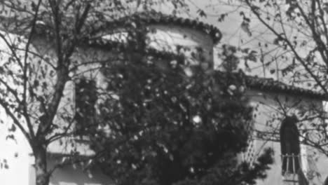 Old-Architecture-Through-Tree-Branches-in-Black-and-White