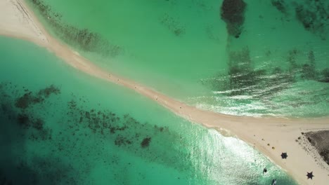 Turquoise-waters-embrace-sandy-pass-at-Cayo-de-Agua,-Los-Roques,-aerial-zenith-view