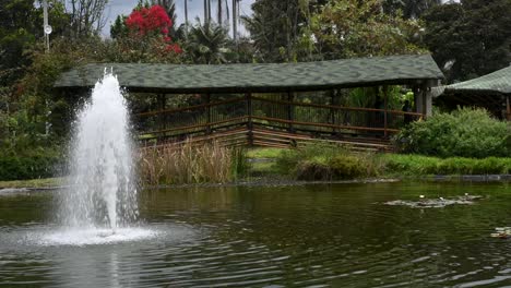 Bridge-within-Jardin-Botanico-in-Bogota,-Bogota,-Colombia