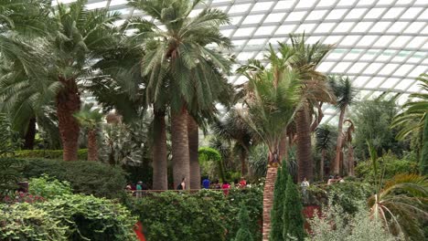 Vista-Panorámica-Que-Captura-A-La-Gente-Deambulando-Por-El-Invernadero-De-Cristal-Con-Cúpula-De-Flores-En-Los-Jardines-Junto-A-La-Bahía,-Rodeado-De-Exuberantes-Arboledas-Y-Follajes