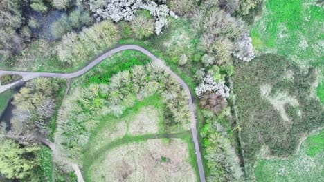 Top-view-of-the-curvy-asphalt-road-surrounded-by-trees,-bushes,-and-grass-of-Leicester,-UK