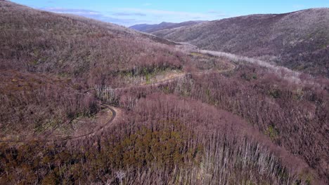 Aerial-View-Of-Forest-In-Kosciuszko-National-Park,-Australia---Drone-Shot