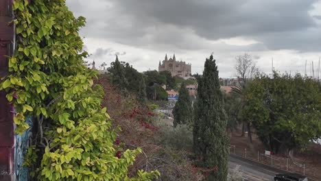 Viewpoint-overlooking-cathedral-and-marina-with-docked-boats-in-Palma-de-Mallorca,-Spain