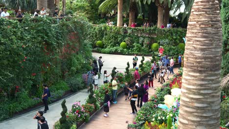 Touristen,-Die-Den-Weg-Durch-Das-Blumenfeld-Entlang-Gehen-Und-Die-Beliebte-Touristenattraktion-Singapurs,-Das-Gewächshaus-Mit-Blumenkuppel-Aus-Glas-In-Den-Gardens-By-The-Bay,-Besuchen-Und-Erkunden