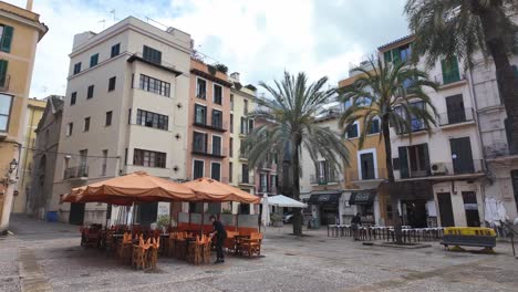 Plaza-De-Llotja-En-El-Centro-De-La-Ciudad-De-Palma-De-Mallorca-Con-Palmeras,-Cafés-Y-Una-Arquitectura-Interesante.
