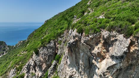 Cliffside-covered-in-greenery-overlooking-the-Ionian-Sea-in-Corfu,-Greece,-on-a-sunny-day