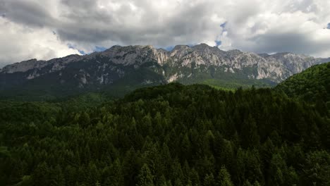Lush-green-forest-at-the-foot-of-Piatra-Craiului-Mountains-under-a-dynamic-sky