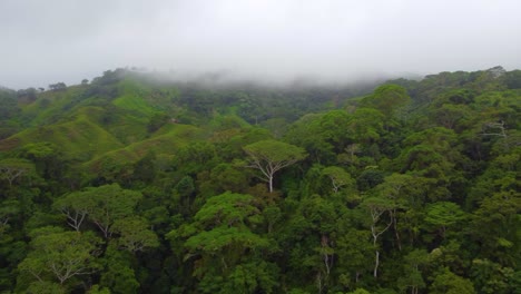 Aerial-tropical-forest-rainforest-South-America-rain-mist-clouds-above-nature
