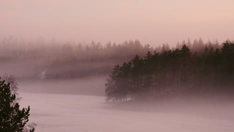 Forest-by-lake-in-the-mist-or-fog