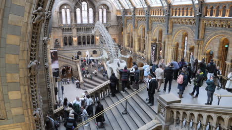 Menschen-Oben-In-Der-Hintze-Halle-Des-Naturhistorischen-Museums-Mit-Blauwalskelett-In-Der-Ausstellung